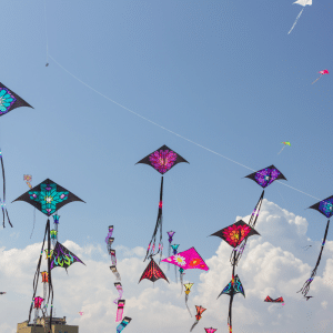 Sky-High Kite Flying Workshop