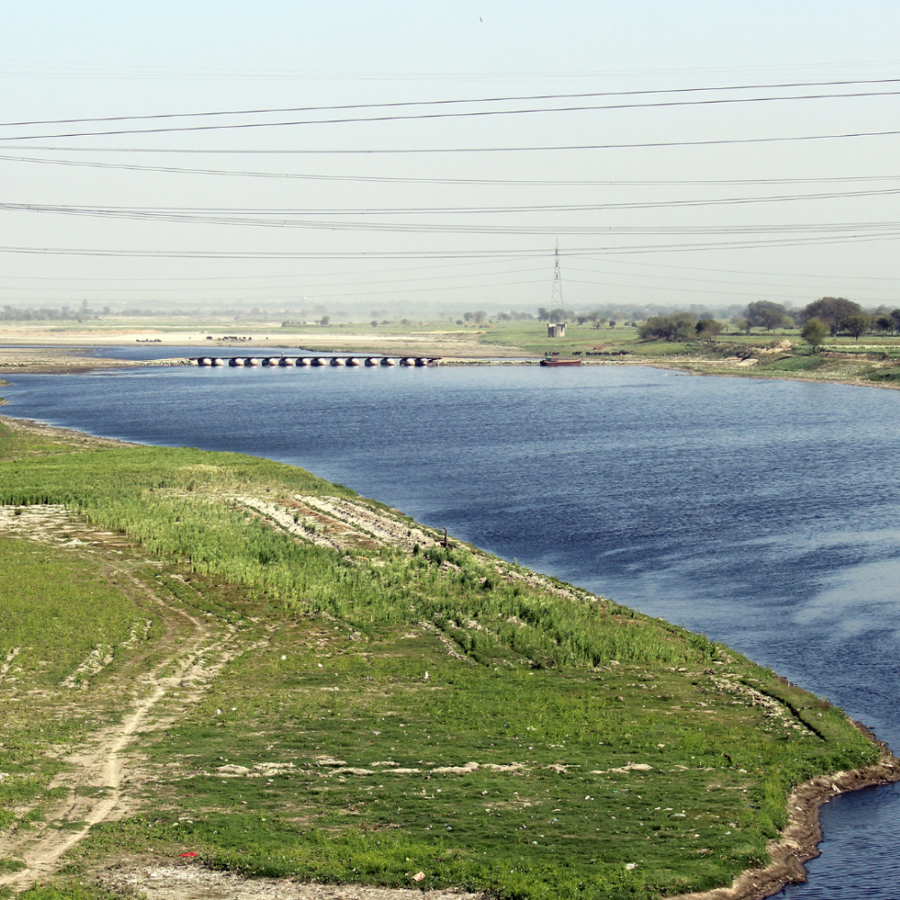 Authentic Rural Agra Experience - Image 2