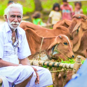 Authentic Rural Agra Experience